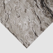 木の樹皮A 薄葉紙 (詳細)