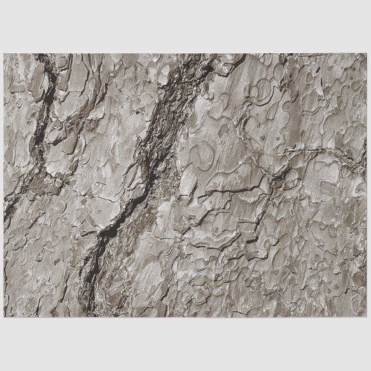 木の樹皮A 薄葉紙 (正面)