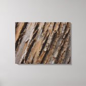 木の樹皮Iナチュラル抽象芸術テクスチャデザイン キャンバスプリント (正面)