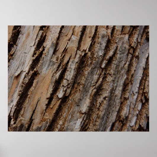 木の樹皮Iナチュラル抽象芸術テクスチャデザイン ポスター (正面)