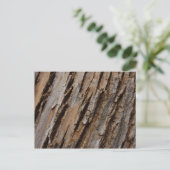 木の樹皮Iナチュラル抽象芸術テクスチャデザイン ポストカード (スタンド正面)