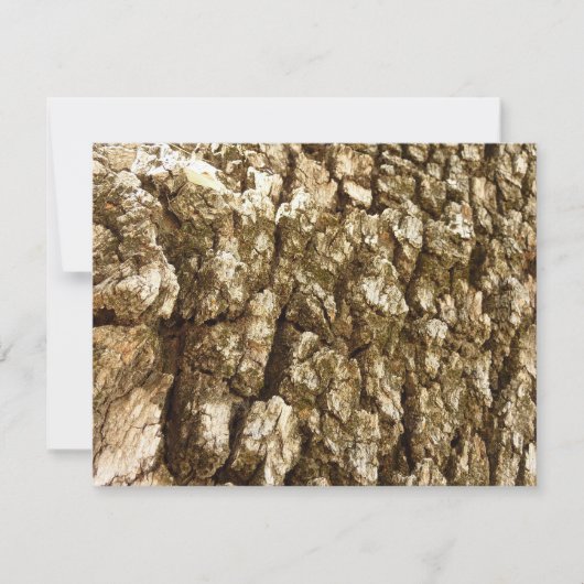 木の樹皮IIナチュラルテクスチャデザイン (正面)