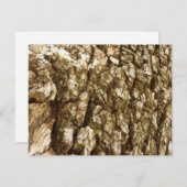 木の樹皮IIナチュラルテクスチャデザイン (正面/裏面)