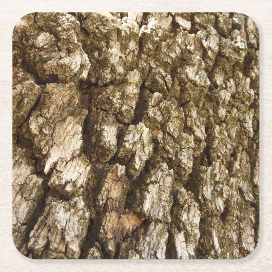 木の樹皮IIナチュラルテクスチャデザイン スクエアペーパーコースター (正面)