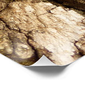 木の樹皮IIナチュラルテクスチャデザイン ポスター (コーナー)