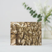 木の樹皮IIナチュラルテクスチャデザイン ポストカード (スタンド正面)