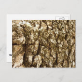 木の樹皮IIナチュラルテクスチャデザイン ポストカード (正面/裏面)