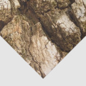 木の樹皮IIナチュラルテクスチャデザイン 薄葉紙 (詳細)