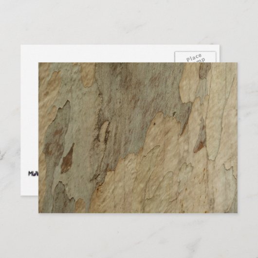 木の樹皮III自然抽象芸術質加工デザイン ポストカード (正面/裏面)