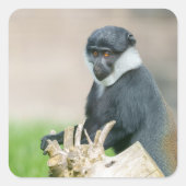 木の止り木に置かれたレフェストサル スクエアシール (正面)