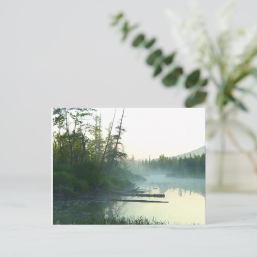 木の水の沼の風景 ポストカード (スタンド正面)