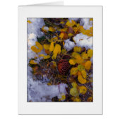 「木の汁」 (正面)