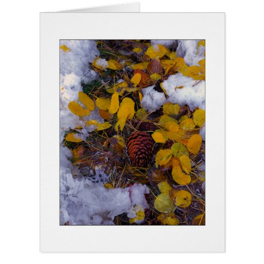 「木の汁」 (正面)