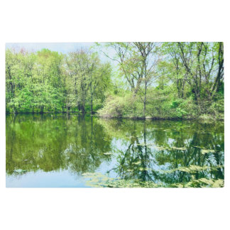 木の池の夏のシーン写真メタルウォールアート メタルプリント