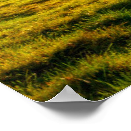 木の火 ポスター (角)