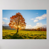 木の火 ポスター (正面)