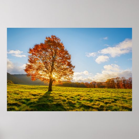 木の火 ポスター (正面)