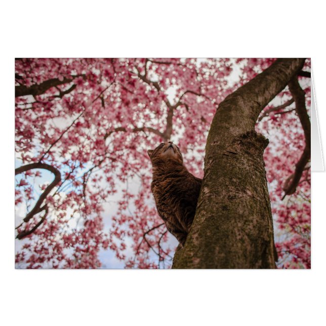 木の猫 (正面横)