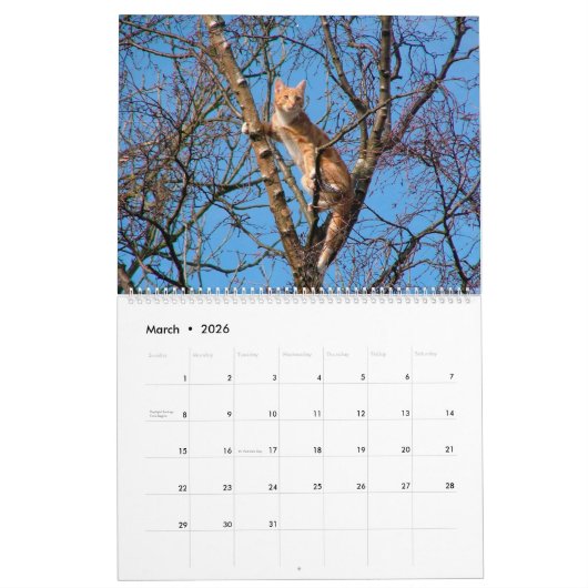 木の登山猫ちゃん猫と子猫in木2021 カレンダー (3月 2026)