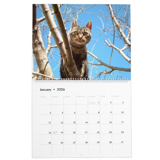 木の登山猫ちゃん猫と子猫in木2021 カレンダー (1月 2026)