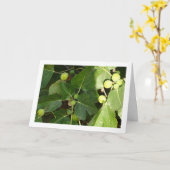 木の白いイチジク カード (黄色い花)