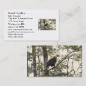 木の白頭鷲 名刺 (正面/裏面)