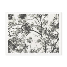 木の白黒シルエット