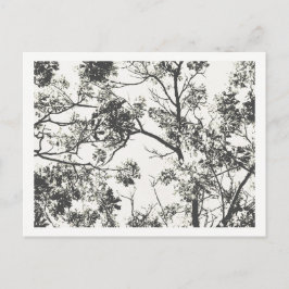 木の白黒シルエット ポストカード