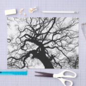 木の白黒シルエット 薄葉紙 (クラフト)