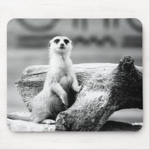 木の白黒Meerkat マウスパッド