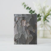 木の皮のマクロ撮影 ポストカード (スタンド正面)