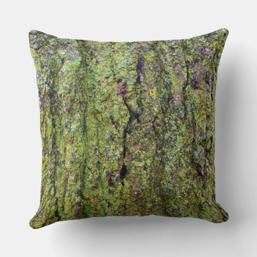 木の皮の上の緑地衣 クッション (裏面)