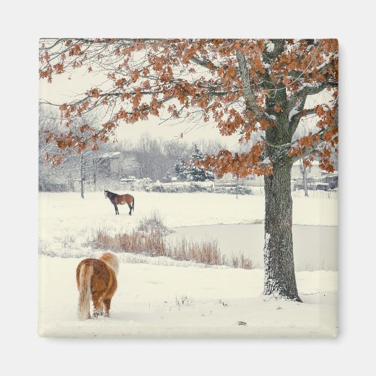 木の磁石で雪の中をポニー マグネット (正面)