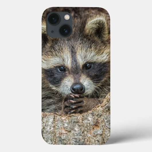 木の穴の中に入ったラコン Case-Mate iPhoneケース (裏面)