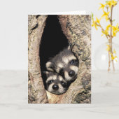 木の空洞にいるアライグマの赤ちゃん プロサイオン カード (黄色い花)