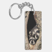 木の空洞にいるアライグマの赤ちゃん プロサイオン キーホルダー (正面左)