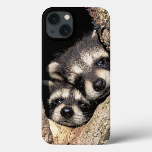 木の空洞にいるアライグマの赤ちゃん プロサイオン Case-Mate iPhoneケース (裏面)
