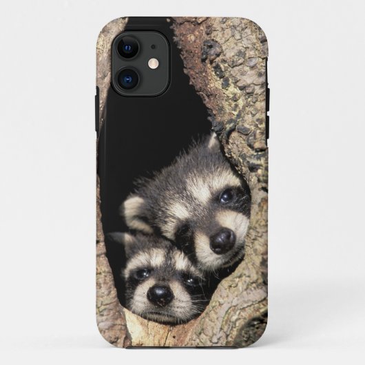 木の空洞にいるアライグマの赤ちゃん プロサイオン Case-Mate iPhoneケース (裏面)