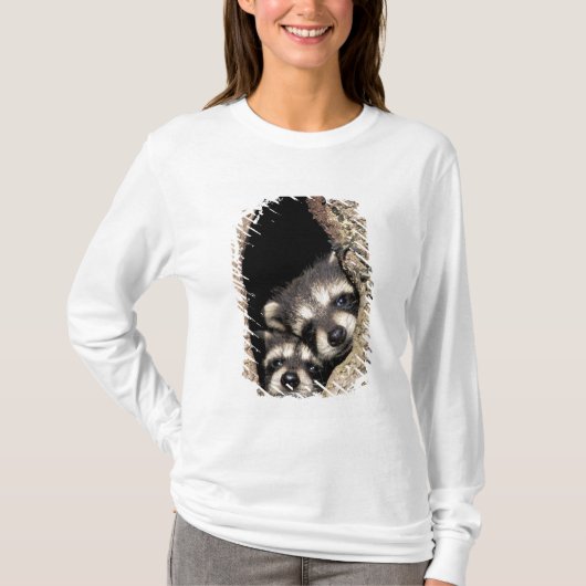 木の空洞にいるアライグマの赤ちゃん プロサイオン Tシャツ (正面)