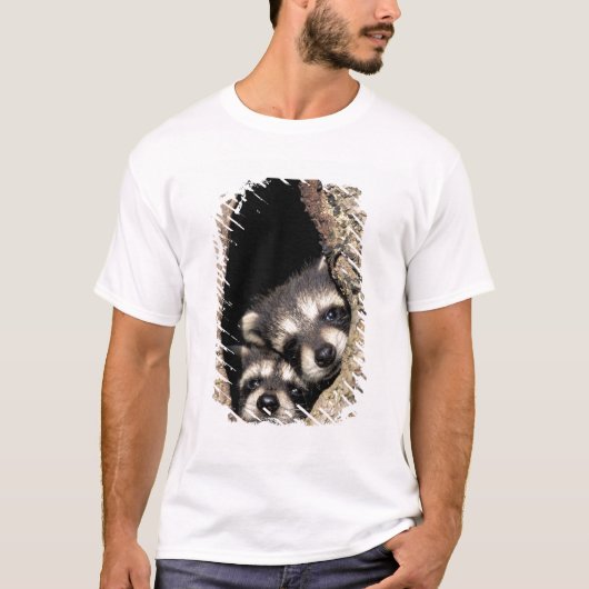 木の空洞にいるアライグマの赤ちゃん プロサイオン Tシャツ (正面)