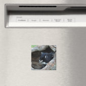 木の空洞に黒うさぎ写真 マグネット (インサイチュ (食洗機))