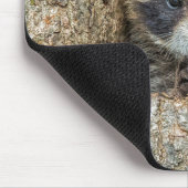 木の空洞の中に閉じ込められたラコン マウスパッド (コーナー)