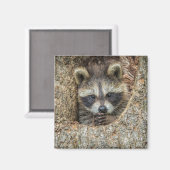 木の空洞の中に閉じ込められたラコン マグネット (正面/裏面)