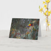 木の空白のな挨拶状の虹Lorikeet カード (黄色い花)