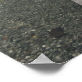 木の突堤 ポスター (角)