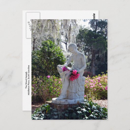木の精霊、ミドルトン・プレイス、サウスカロライナ州 ポストカード (正面/裏面)