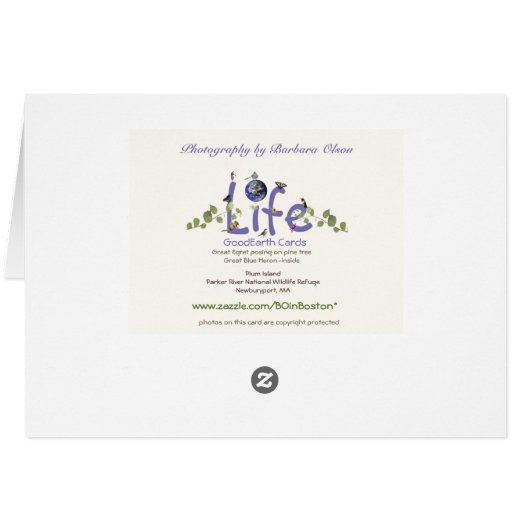 木の素晴らしい白鷺: (裏面横)