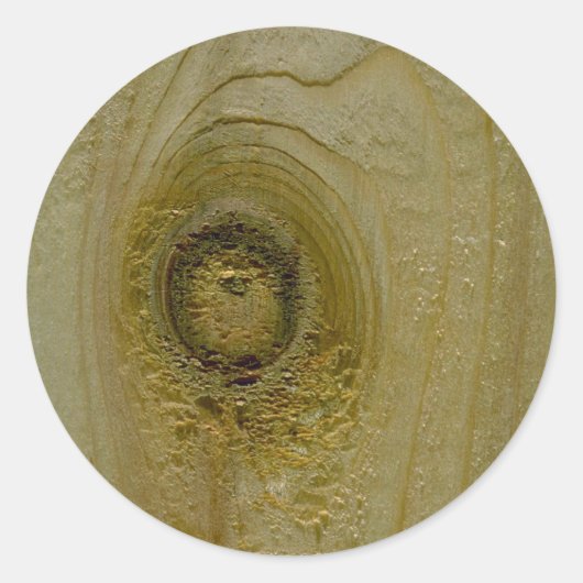 木の結び目 ラウンドシール (正面)