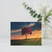 木の美しい自然の景色 ポストカード (スタンド正面)