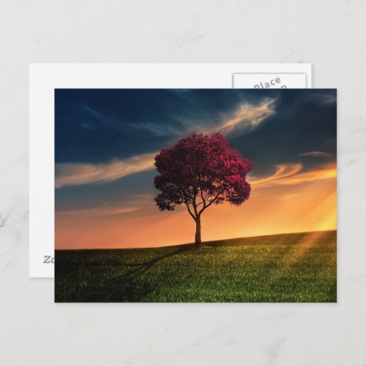 木の美しい自然の景色 ポストカード (正面/裏面)